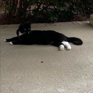 Meet your Posher, Chad